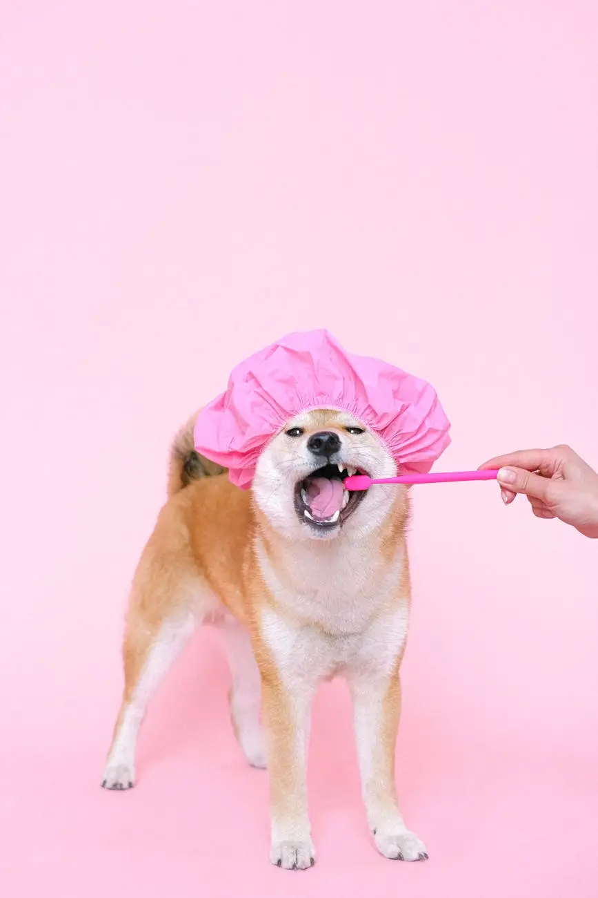 person using a toothbrush on dog with shower cap showcasing the dental benefits of yak cheese for dogs